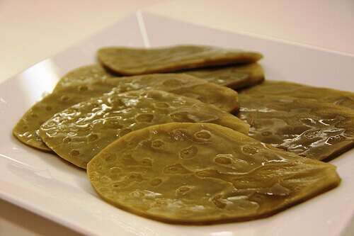 Nopal op bord