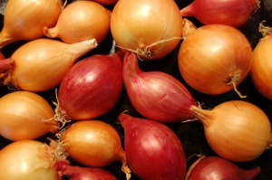 Uien