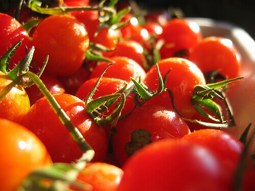 Tomaten aan een tros