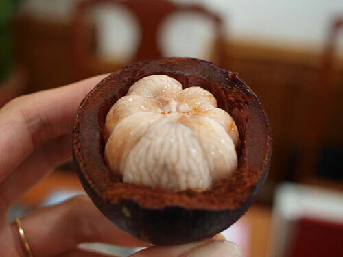 mangosteen