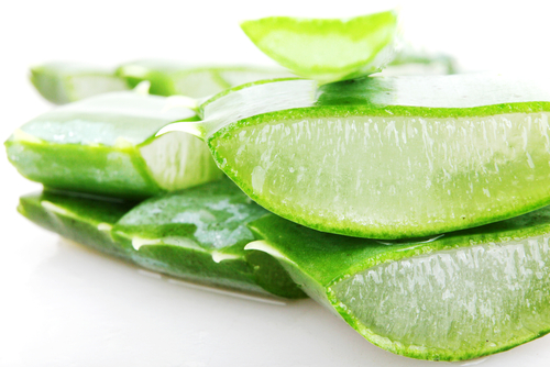 Aloe-vera-2