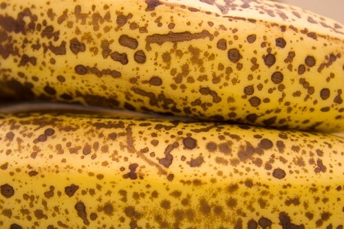 banaan21