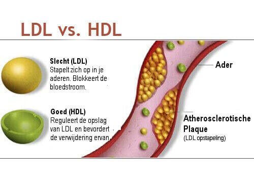uitleg cholesterol