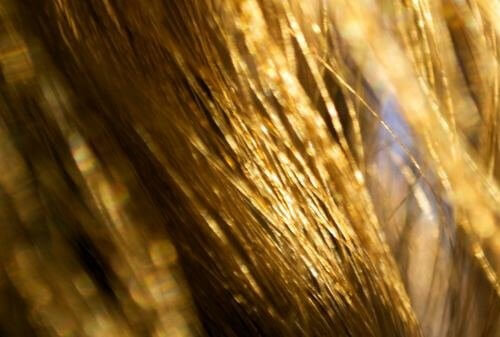 Zeg met natuurlijke remedies vaarwel tegen droog haar