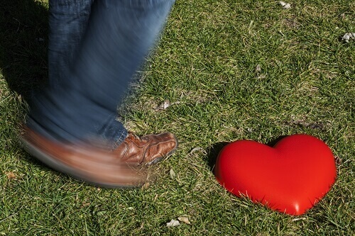 Hart in het gras