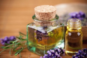 lavendel