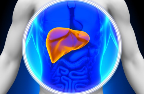 8 voedingsmiddelen die natuurlijk de lever reinigen