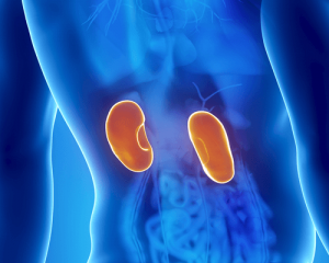 Nierinfecties: symptomen en behandeling