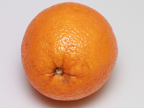Sinaasappel