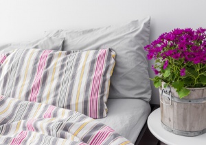 Hoe krijg je een gezonde slaapkamer?