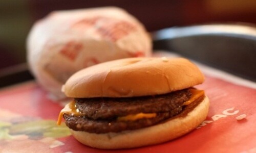 Een McDonalds hamburger na 5 jaar