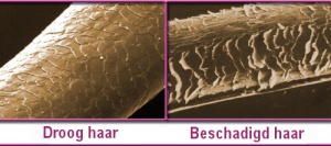 Haarstijlen beïnvloeden de gezondheid van het haar