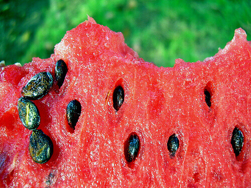 stuk watermeloen