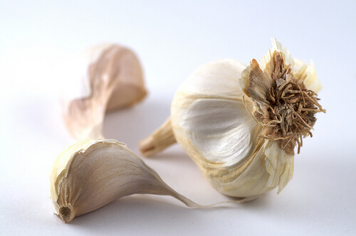 knoflook2