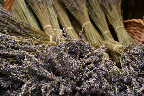 Lavendel tegen een hoge bloeddruk