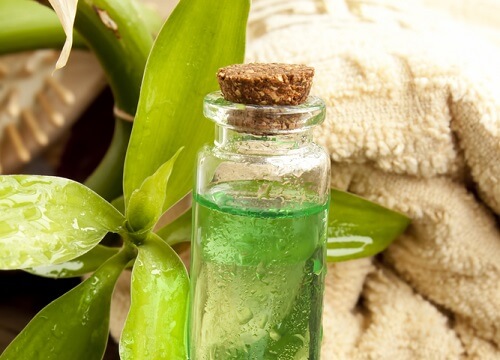 tea tree oil