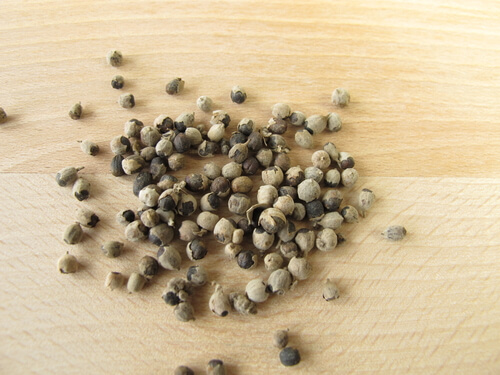 vitex