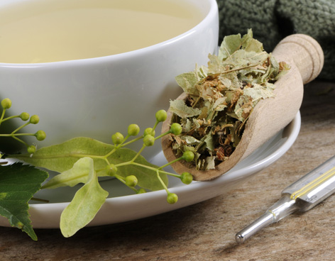 Gentiaan kan helpen bij het aankomen