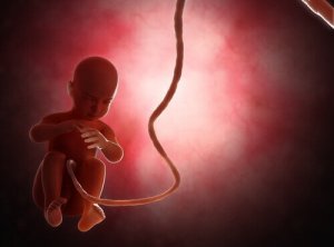 De invloed van klimaatverandering op geboortes van jongens