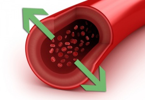 Natuurlijke middelen om je bloeddruk te verlagen