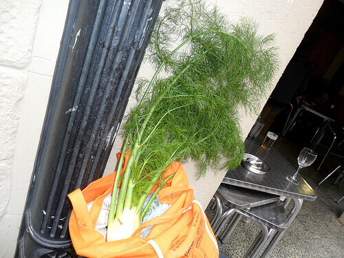 Gras