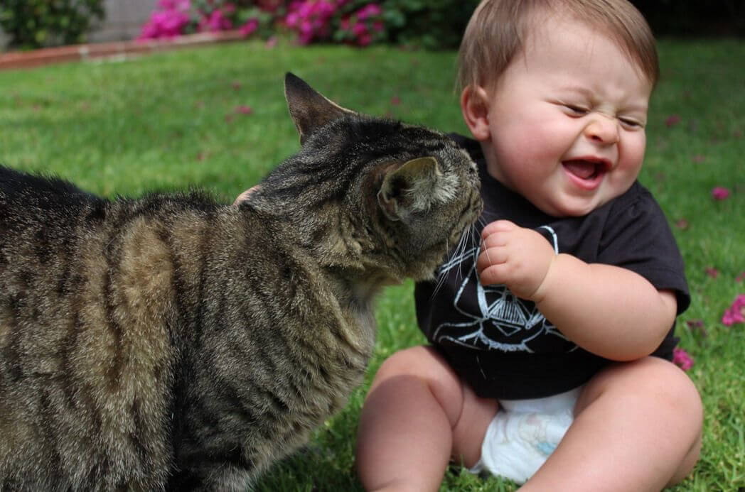 Baby en Kat