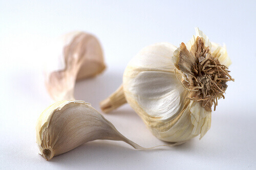 Knoflook