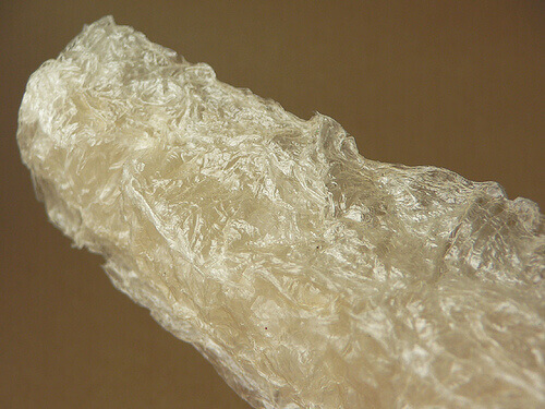 Zeewier kan je ook helpen om minder te eten