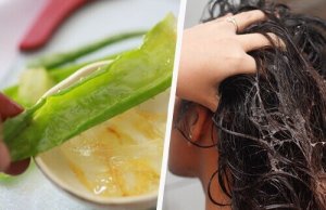 De 5 beste natuurlijke conditioners