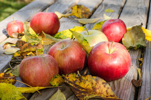Appels