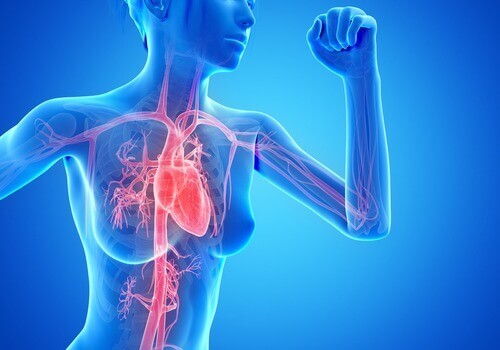Cardiotraining