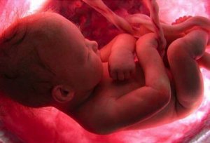 Waarom herinneren we ons onze geboorte niet?