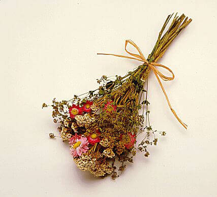 Gedroogde Bloemen