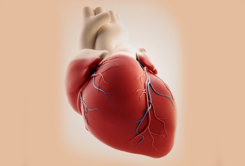 Hart dat last heeft van hartritmestoornissen