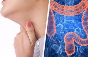 Het verband tussen keelproblemen en de darmen