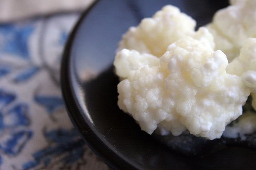 Kefir voor de Darmflora