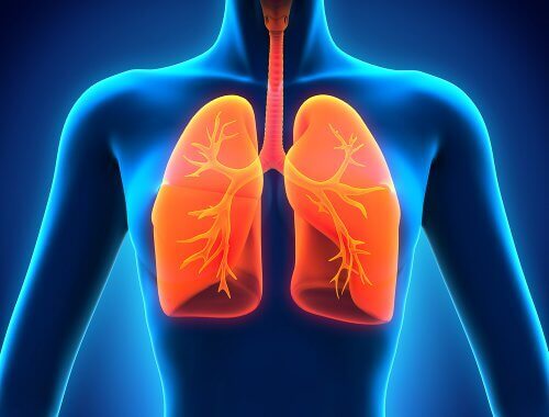 Als je je nies inhoudt kunnen pathogenen en andere ziektekiemen dieper in je neus, middenoor, sinussen dringen