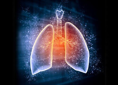 Waarom je longen ontgiften