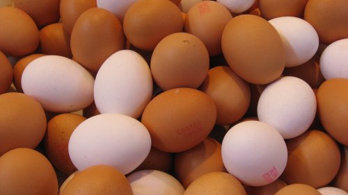 Toepassingen voor eierschalen van verschillende kleuren
