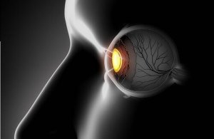 Zicht verbeteren met gezonde smoothies