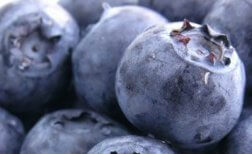 Blauwe bessen