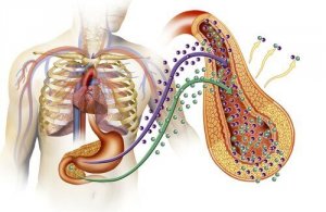 Wat zijn de oorzaken van diabetes type 2