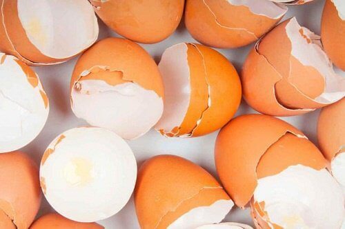 15+ verrassende toepassingen van eierschalen
