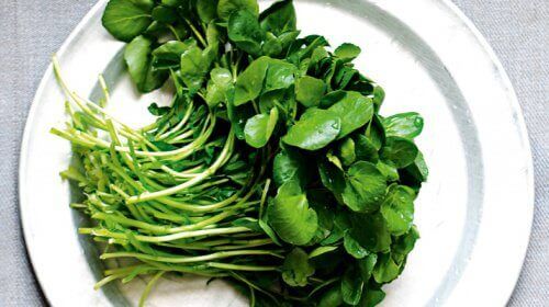 Waterkers op een bord