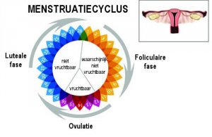 Onregelmatige menstruatiecyclus: hoe komt het?