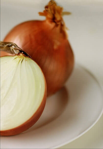 Technische gegevens wat betreft uien kweken