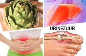 8 geneeskrachtige manieren om artisjok te gebruiken