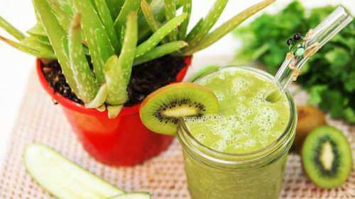 Smoothie met Aloë Vera en Kiwi