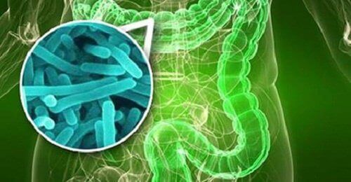 10 tekenen van het bacteriële overgroeisyndroom