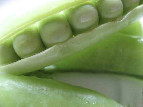 Erwten